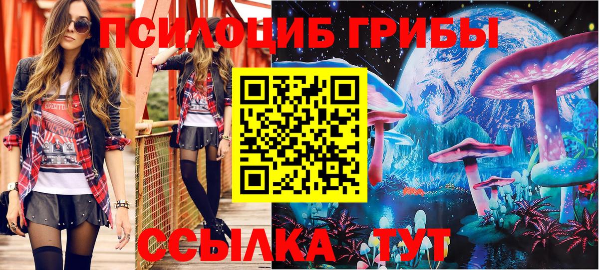 Звенигород  Псилоцибиновые грибы Magic Shrooms  Вход с VPN 